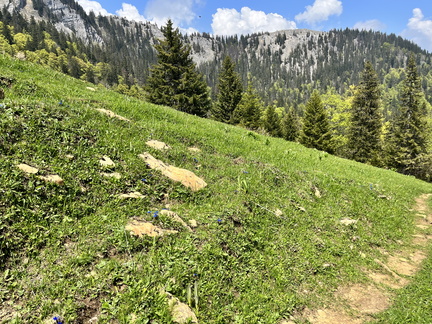 23-05-26 13-37-00 5704